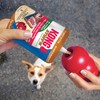 KONG - Stuff'N™ Dog Treat Paste - All-Natural Peanut Butter