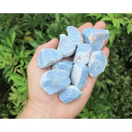 1/2 lb Bulk Blue Rough Natural Angelite Crystal Stone Raw Crystal Mineral Peru