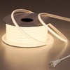 BENLUN AC 110V COB LED Strip Lights Outdoor Waterproof 65.6ft,