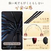 British Men's Umbrella, 10 Ribs, Natural Wood Handle (Beautiful Wood