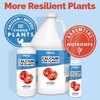 TPS NUTRIENTS Calcium for Plants Made from Organic Inputs, Prevents