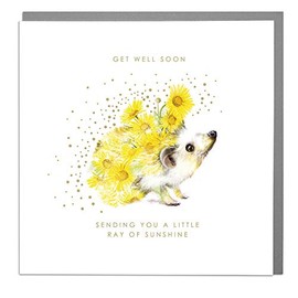 Sending A Little Ray Of Sunshine - Hedgehog - Get Well Soon Card with Grey Envelope by Lola Design