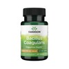 Swanson Swanson Bacillus Coagulans - Natural Probiotic Supplement Supporting Digestive