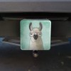 GRAPHICS & MORE Hip Llama with Glasses Tow Trailer Hitch