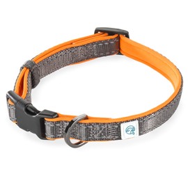 Embark Adventure Dog Collar with Soft Padded Neck, Matching Set with The Adventure Leash and Harness, Pet Collars for Dogs & Most Breeds - Dog Collar for Small Dogs (Small Dog Collars, Orange)