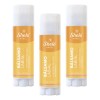 Balsamo Labial Sin Color Shelo Nabel® 4.5grs. 3pzs