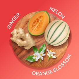 Calgon Hawaiian Ginger Skin Nourishing Body Cream for Women, 8 Ounce