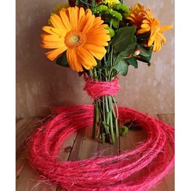 PoshNPretty Sisal Wired Twine 10 Meters - Choose Colors (Hot Pink)