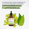 Neem Aceite Puro Orgánico Prensado en Frío Facial y Capilar,