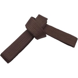 SHIHAN POWER SPORTS BROWN 280cm Karate Taekwondo Belt, Karate, Kickboxing, Shotokan KARATE KID Martial Arts Dojo