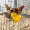 Suinga Abbeveratoio automatico per galline e perdici | Confezione da