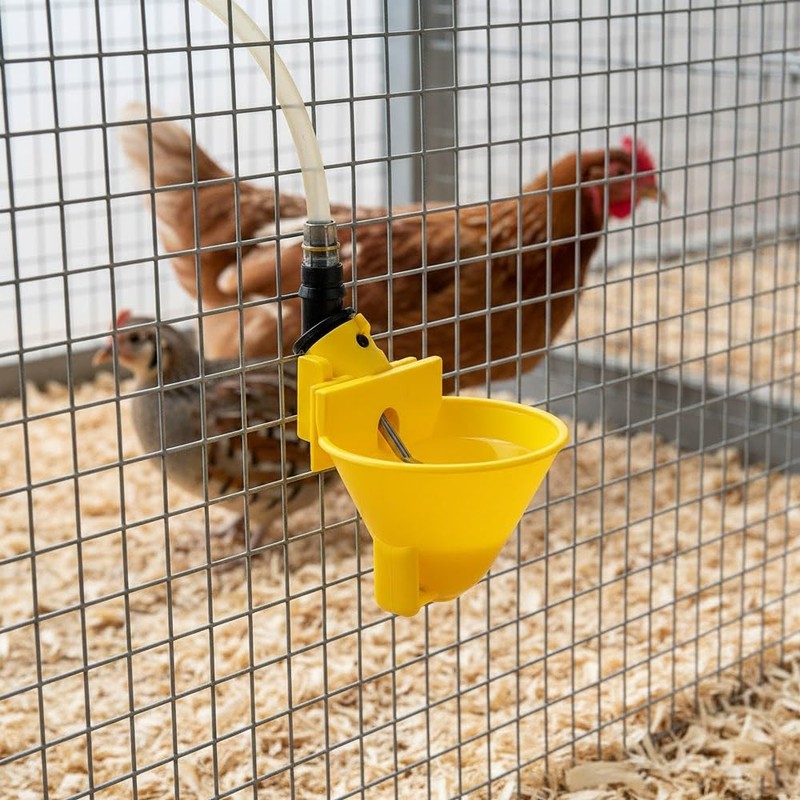 Suinga Abbeveratoio automatico per galline e perdici | Confezione da