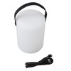Smart Night Light APP Voice Control Rechargeable Timer WiFi Bluetooth