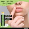 GreenIVe Neem Lip Balm Vegan Lip Moisturizer Neem Seed Oil