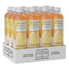 Cascade Ice Sparkling Water, Orange Mango, 17.2 Fl Oz (Pack
