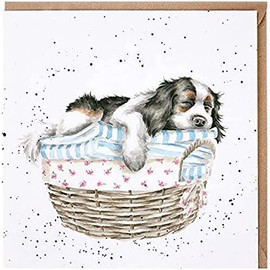 Wrendale Sleeping on Laundry Spaniel Birthday Card - Cream