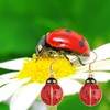 PLITI Ladybug Lover Gift Good Luck Ladybug Gift Red Ladybug