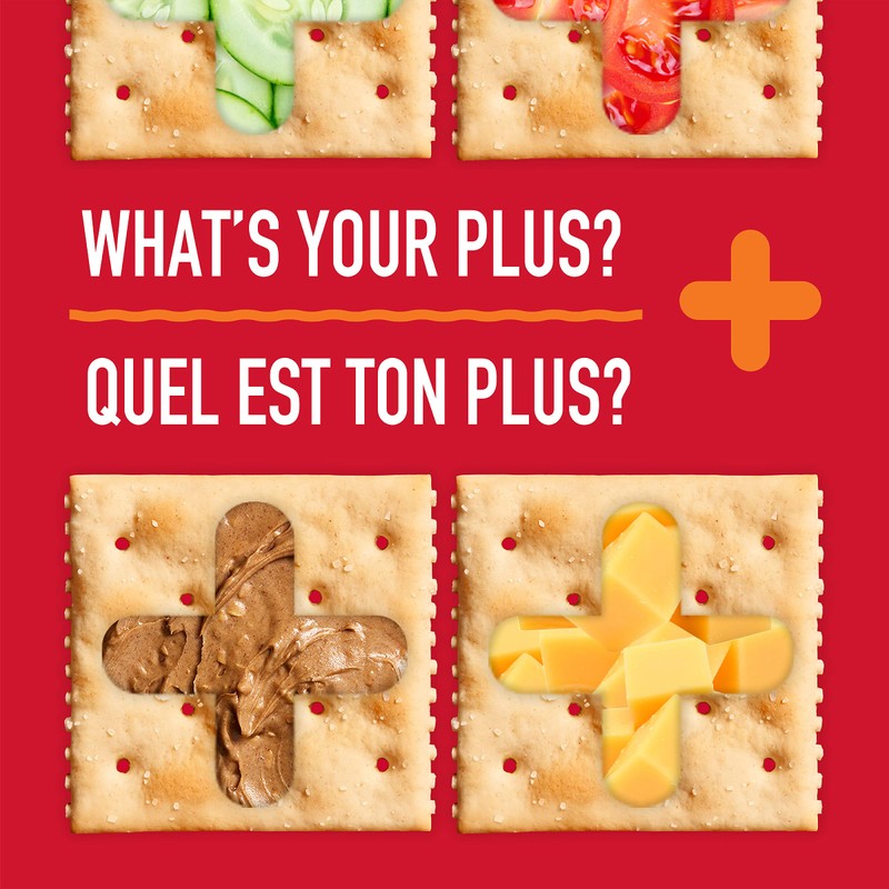 Premium Plus Salted Cracker, 450g