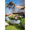 TS Planter Basket Cera Nova Mix Frost Resistant and Lightweight,