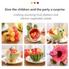 6 Pcs Stainless Steel Fruit Carving Knife Set, Kitchen Fruit