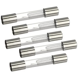 MONTERAL 5 Pieces - Glass Fuses 750 mA 5 kV - for Microwaves