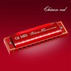 QIMEI Blues Harmonica 10/24 Hole Stainless Steel C Tone Airtight