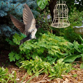 Alipis Metal Wild Bird Feeders 2pcs Outside Hollow Suet Bird Feeder Hanging Outdoor Birdfeeders Cage Hanger Suet Cakes Holder for Garden Yard Cardinal Finch Sparrow