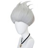 Pure Silver Wig for Men Silver Straight Cosplay Wigs for