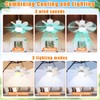 Grinsvalley 2 Set Solar Powered Ceiling Fan with Light, 17.7