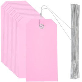 SOFPLATE Pack of 100 Pink Waterproof Labels Blank Shipping Labels with Iron Wire Rectangular 4.7 x 2.4 cm Plastic PVC Eyelet for Hanging Name Plate Labels Set for Hanging Name Card
