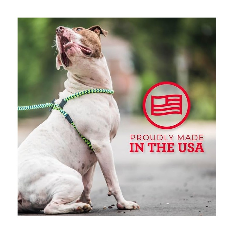Harness Lead No Pull Dog Harness and Leash Set, Anti
