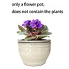 Dphagesy African Violet Pots Self Watering Round Ceramic Violet Pot