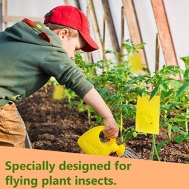 Whitefly Trap Sheets Dual-Sided, Weather-Resistant Adhesive Yellow Traps for Indoor & Outdoor Use Odorless Insect Catcher for Plants & Gardens (20Pcs)