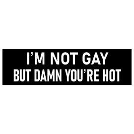 I'm Not Gay But Damn You're Hot Bumper Sticker Funny Car Sticker I'm Not Gay But Damn You're Good Looking Sticker Made in USA