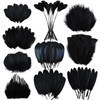FeelfunFeather Pheasant Feathers -30pcs 5 Style Natural Mixed Decorative Spotted