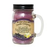 Our Own Candle Company Black Raspberry Vanilla Scented Mason Jar