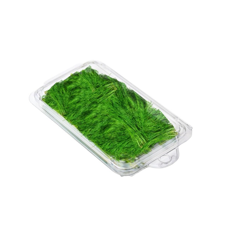 Smygoods Disposable Clear Plastic Clamshell Containers for Herbs, Leak-Proof, Ideal