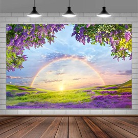 5 X 3ft Lavender Flower Field Backdrop Photography backdrops Purple Flower Lavender Green Grass Lilac Flowers Sunset Sky Rainbow Party Background Photography Studio Backdrop