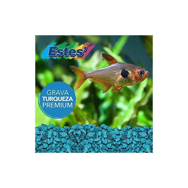 Spectrastone Special Turquoise Aquarium Gravel for Freshwater Aquariums, 5-Pound Bag