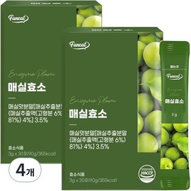 Partner_Reference Furnit Plum Enzyme 30p 90g 4pcs / 퍼니트 매실효소 30p 90g 4개