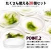 HIRAISM Petri Dish, Plastic Petri Dish with Lid, Laboratory Supplies,