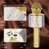 DigitConvert Karaoke Microphone, Bluetooth Microphone Karaoke Children, Home KTV Karaoke