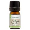 GreenHealth Eucalyptus Essential Oil – 1/6 fl oz (5 ml)