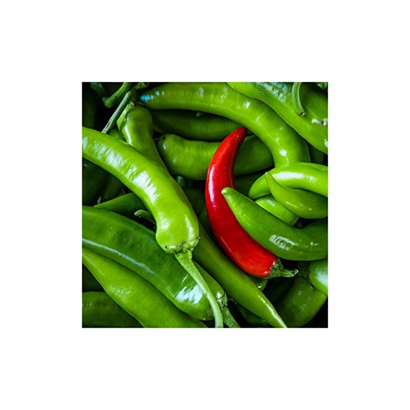 Everwilde Farms - 1/4 Lb Serrano Hot Pepper Seeds -