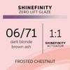Shinefinity 06/71 Shade Frosted Chestnut, 60 ml
