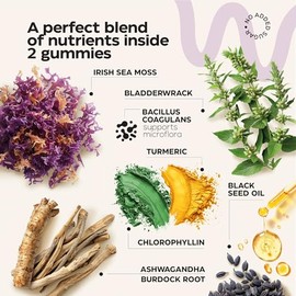 Multimineral Sea Moss Gummies 3000 Mg with Probiotic, Bladderwrack, Black Seed Oil, Ashwagandha, Burdock Root (2 Pack) - Irish Seamoss for Immunity, T