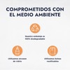 HEBBE - Aceite de Germen de Trigo 100ml | Antioxidante