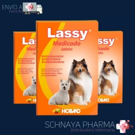 Holland 3 Piezas Jabón Lassy Medicado (antimicótico, Antibacteriano)