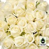 Bloomingmore Flowers, 50 Farm Fresh Fair Trade White Roses, 50