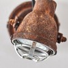 Lightbox Industrial Wall Spotlight in Vintage Look with Pivoting Head